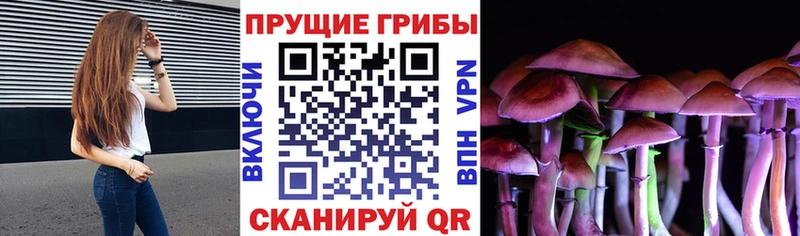 Псилоцибиновые грибы GOLDEN TEACHER наркотики Нижний Ломов